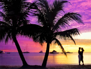 Virtual Caribbean